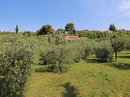 Modern Holiday Home in Marciaga With Garden