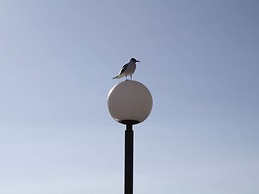 Holiday Apartment Island Nest