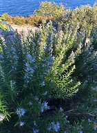 in Haus Tomica Comfortable Holiday Residence