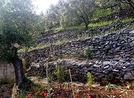 in Haus Tomica Comfortable Holiday Residence