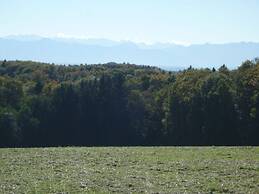 Nice Apartment in Diessen