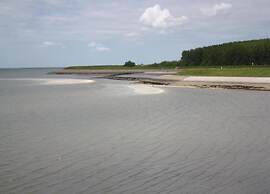 Luxe Stay With Sauna & Garden