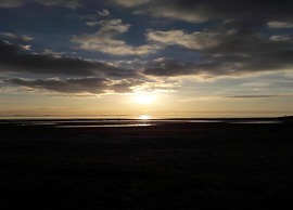 Luxe Stay With Sauna & Garden