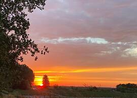 Luxe Stay With Sauna & Garden