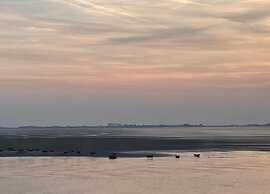 Luxe Stay With Sauna & Garden