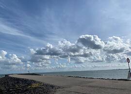 Luxe Stay With Sauna & Garden