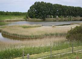 Luxe Stay With Sauna & Garden