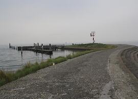 Luxe Stay With Sauna & Garden