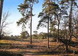 Chalet by Beach and Harbor With Terrace