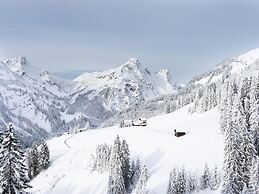 Apartment in Schrocken Near ski Area