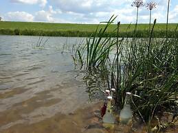 Elbwiesenhaus Modern Retreat