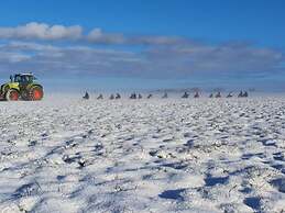 Elbwiesenhaus Modern Retreat