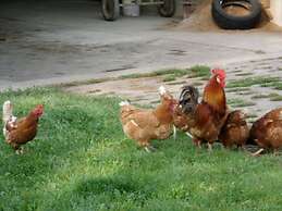 Elbwiesenhaus Modern Retreat