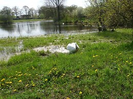 Elbwiesenhaus Modern Retreat