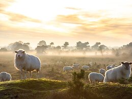 Nice Bungalow With in Friesland With Terrace