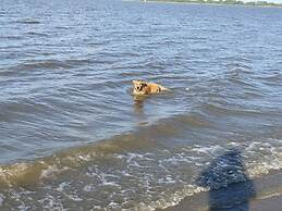 Holiday Apartment Elbe