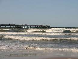 Seeschwalbe in Villa Sirene, Binz