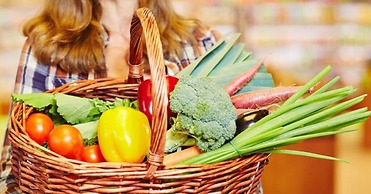 Fordebrise Modern Retreat