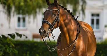 Fordebrise Modern Retreat