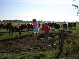 Thias J 3 With Winter Garden