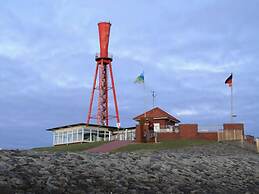 Thias J 3 With Winter Garden