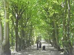 Strandjutter Modern Retreat