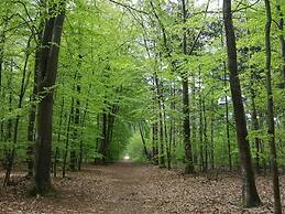 High Geest 4 - Including Many Extras