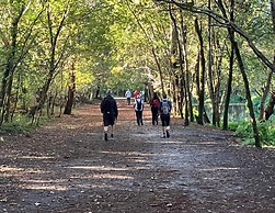 Apartment Close to the Beautiful Beach