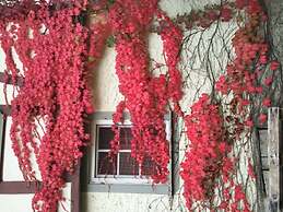 Holiday Home Gardener's House