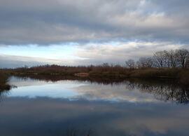 Cozy Holiday Home in Meijel With Sauna