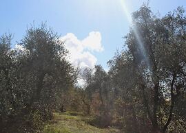 Belvilla by OYO Podere Torre