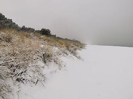 Dreamtime Modern Retreat