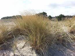 Beach Dune 12 on the Beach