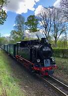 Heart Shell in the Villa Li