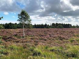 Nice Apartment Near Beach