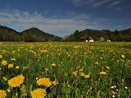 Holiday Apartment Lucky guy