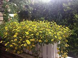 Anton - Haus Deichperle