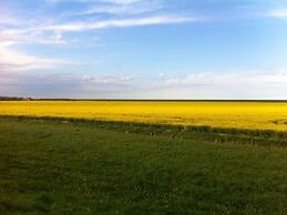 Anton - Haus Deichperle