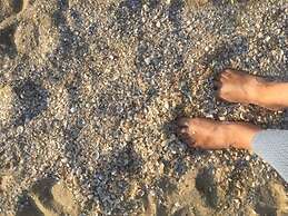 Anton - Haus Deichperle