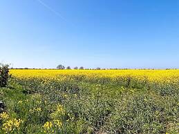 5 Star Holiday Home in Borgholm-by Traum