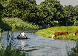 Glamping Tent in Netherlands With Pop-up Charm