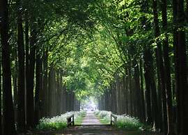 Glamping Tent in Netherlands With Pop-up Charm