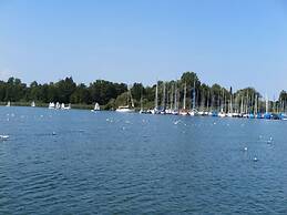 Dennenboomdroom