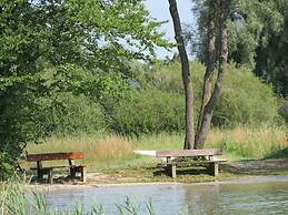 Dennenboomdroom