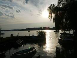 Dennenboomdroom