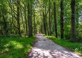 Sunny Apartment Directly on the Heegermeer