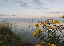 Sunny Apartment Directly on the Heegermeer