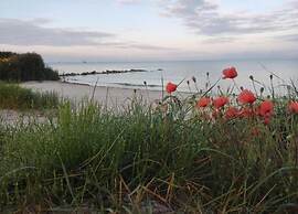 Sunny Apartment Directly on the Heegermeer