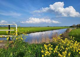 Sunny Apartment Directly on the Heegermeer