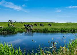 Sunny Apartment Directly on the Heegermeer